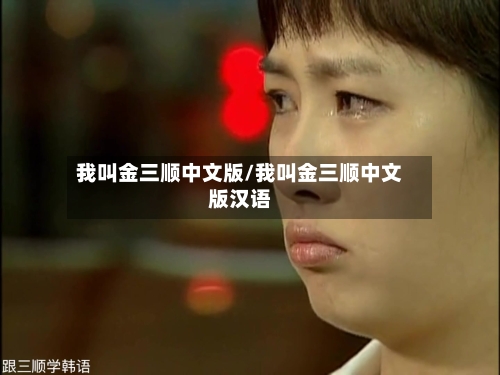 我叫金三顺中文版/我叫金三顺中文版汉语-第1张图片