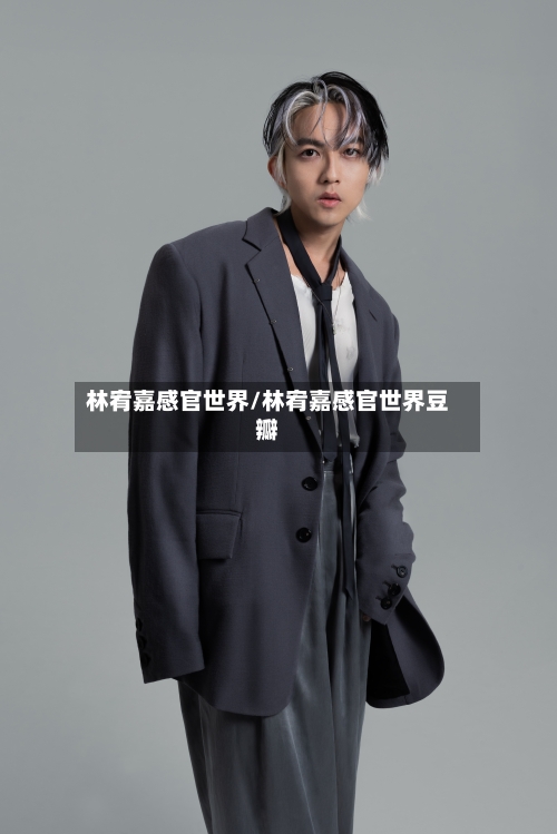 林宥嘉感官世界/林宥嘉感官世界豆瓣