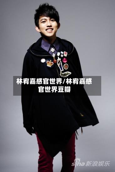 林宥嘉感官世界/林宥嘉感官世界豆瓣-第3张图片