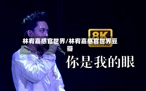 林宥嘉感官世界/林宥嘉感官世界豆瓣-第2张图片