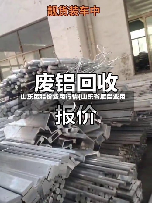 山东废铝价费用行情(山东省废铝费用)
