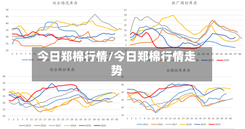 今日郑棉行情/今日郑棉行情走势