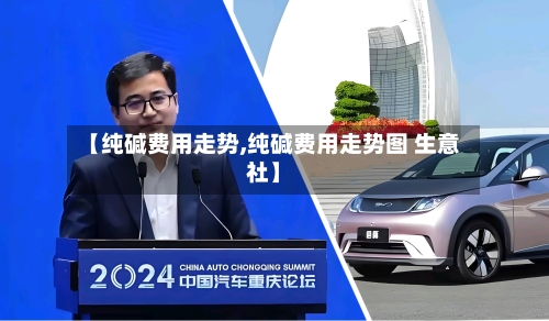 【纯碱费用走势,纯碱费用走势图 生意社】-第3张图片