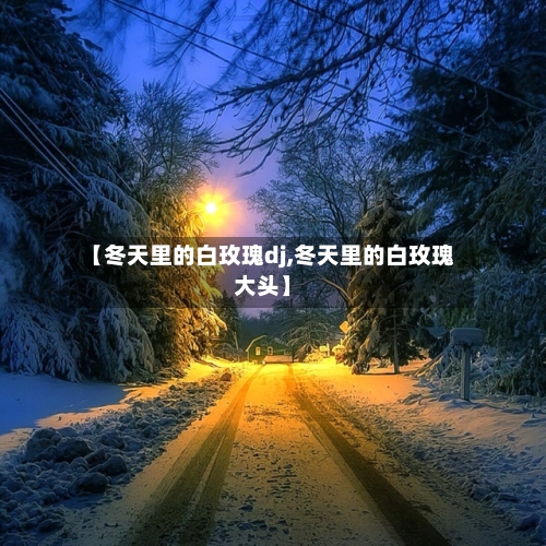 【冬天里的白玫瑰dj,冬天里的白玫瑰大头】-第2张图片