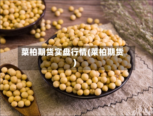 菜柏期货实盘行情(莱柏期货)