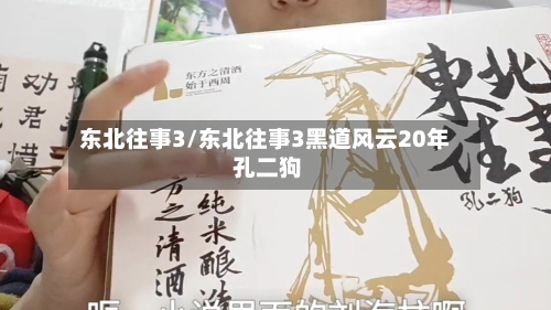 东北往事3/东北往事3黑道风云20年 孔二狗-第2张图片