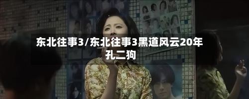 东北往事3/东北往事3黑道风云20年 孔二狗-第3张图片