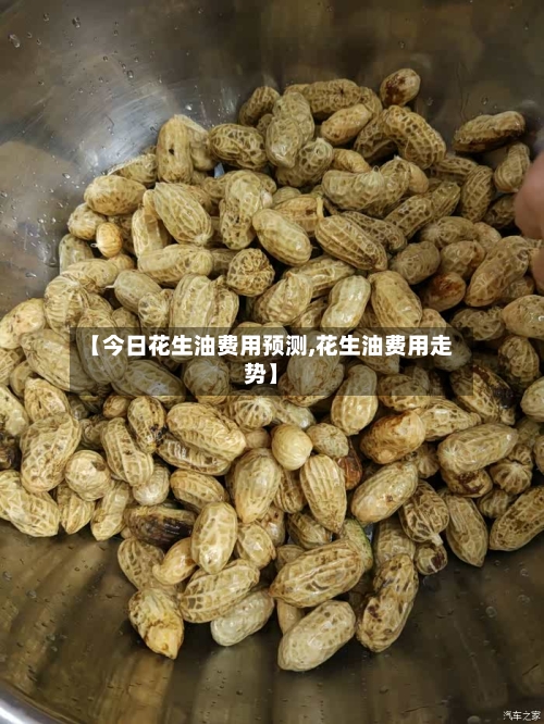 【今日花生油费用预测,花生油费用走势】