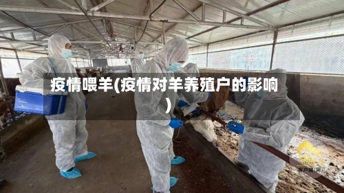 疫情喂羊(疫情对羊养殖户的影响)-第1张图片