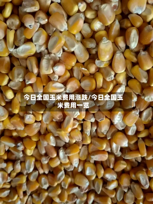 今日全国玉米费用涨跌/今日全国玉米费用一览-第3张图片