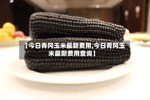 【今日青冈玉米最新费用,今日青冈玉米最新费用查询】