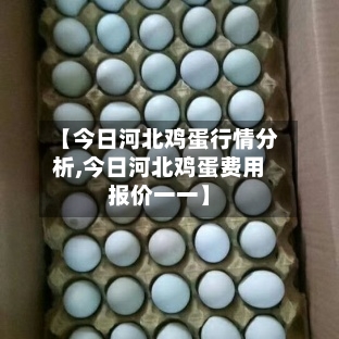 【今日河北鸡蛋行情分析,今日河北鸡蛋费用报价一一】-第2张图片