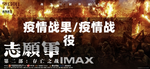 疫情战果/疫情战役