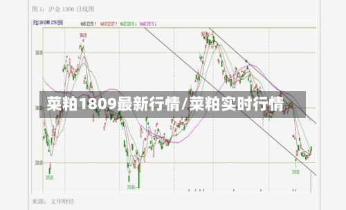 菜粕1809最新行情/菜粕实时行情