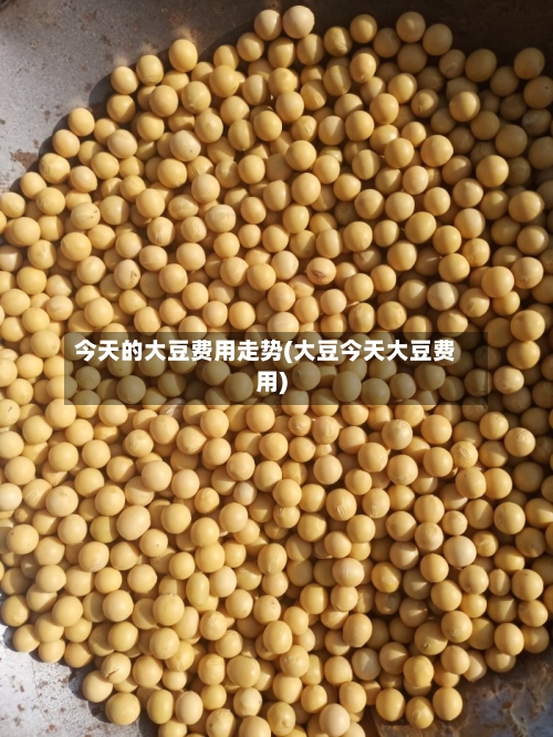 今天的大豆费用走势(大豆今天大豆费用)-第3张图片