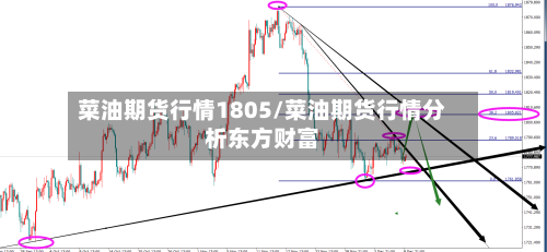 菜油期货行情1805/菜油期货行情分析东方财富