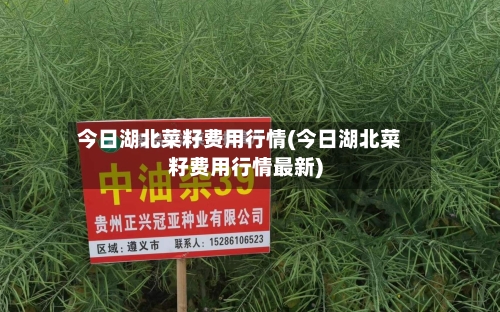 今日湖北菜籽费用行情(今日湖北菜籽费用行情最新)-第2张图片