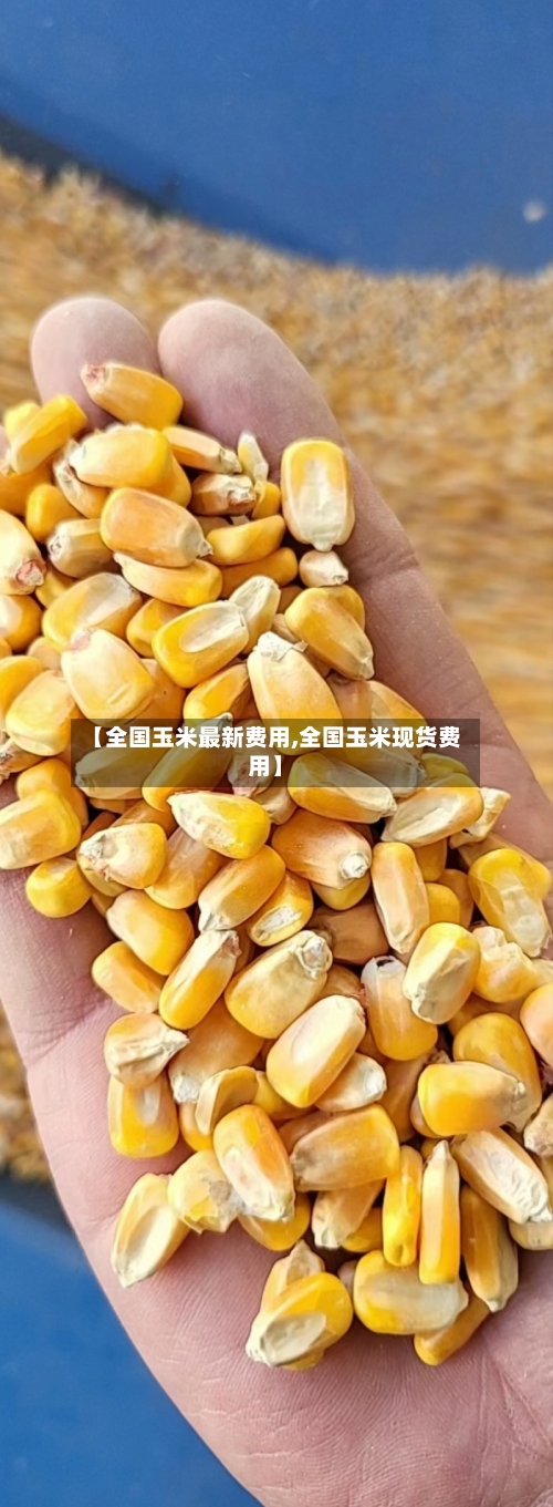 【全国玉米最新费用,全国玉米现货费用】