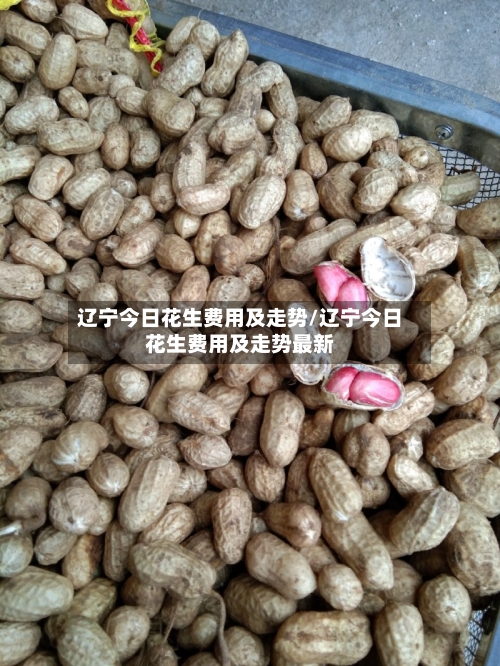 辽宁今日花生费用及走势/辽宁今日花生费用及走势最新-第3张图片