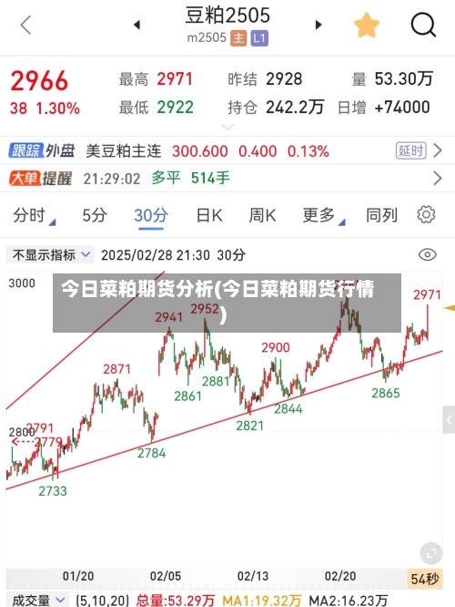 今日菜粕期货分析(今日菜粕期货行情)-第2张图片