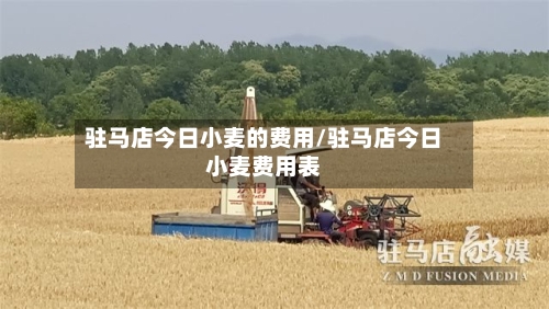 驻马店今日小麦的费用/驻马店今日小麦费用表