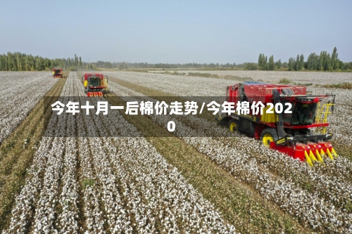 今年十月一后棉价走势/今年棉价2020-第2张图片