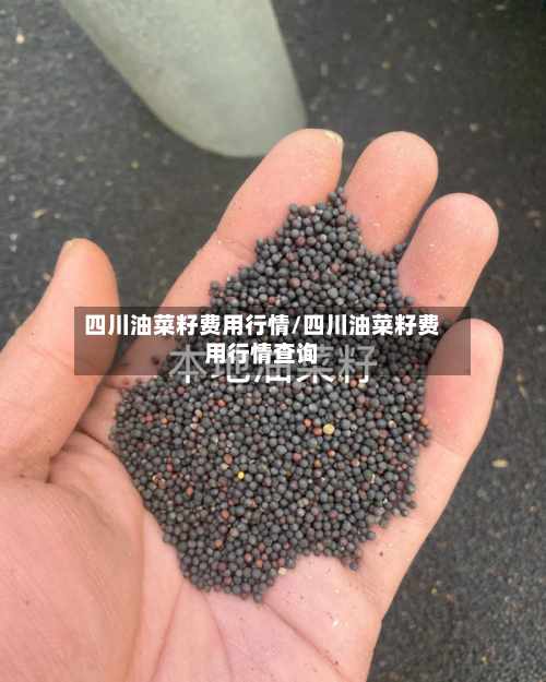 四川油菜籽费用行情/四川油菜籽费用行情查询-第3张图片