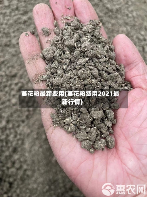 葵花粕最新费用(葵花粕费用2021最新行情)