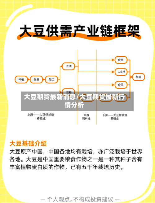 大豆期货最新消息/大豆期货最新行情分析