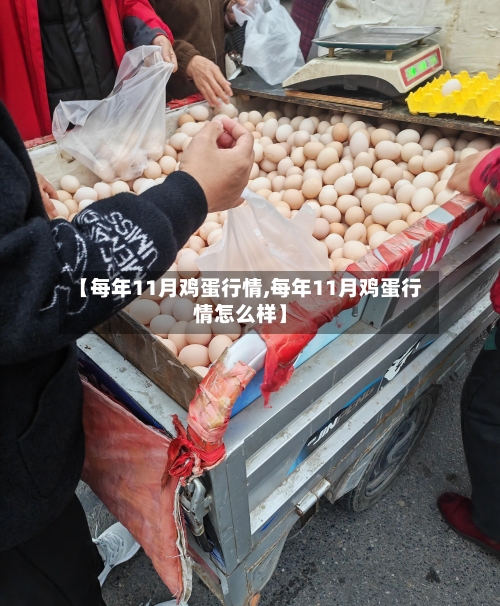 【每年11月鸡蛋行情,每年11月鸡蛋行情怎么样】