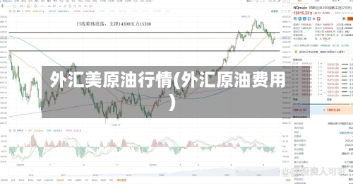 外汇美原油行情(外汇原油费用)
