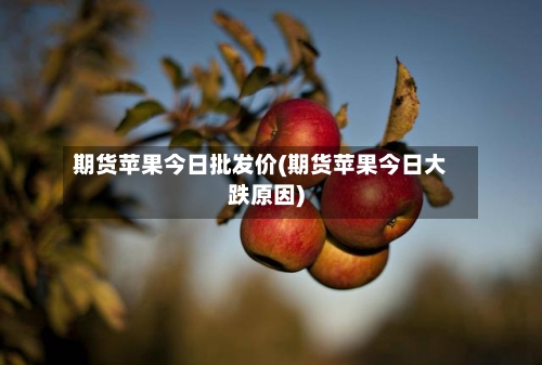 期货苹果今日批发价(期货苹果今日大跌原因)-第2张图片