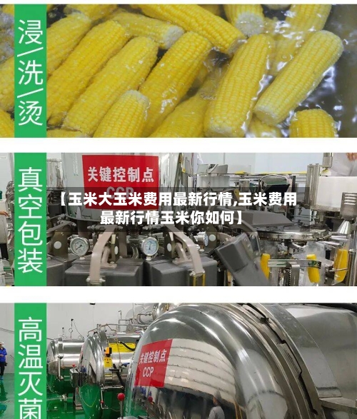 【玉米大玉米费用最新行情,玉米费用最新行情玉米你如何】