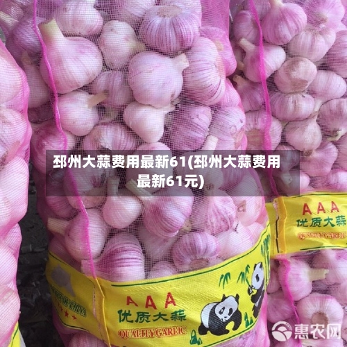 邳州大蒜费用最新61(邳州大蒜费用最新61元)