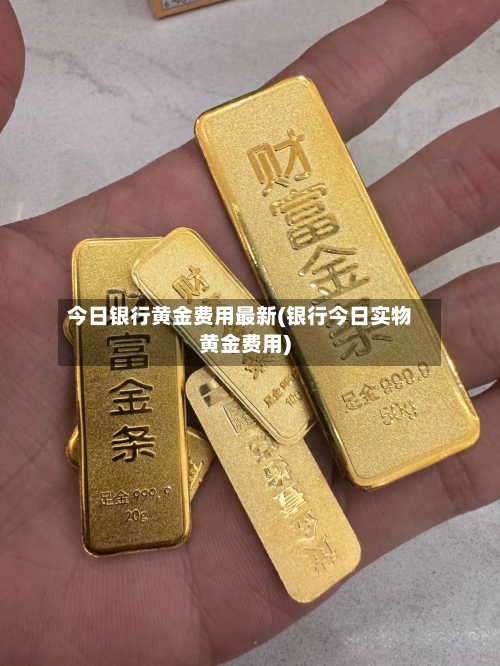 今日银行黄金费用最新(银行今日实物黄金费用)