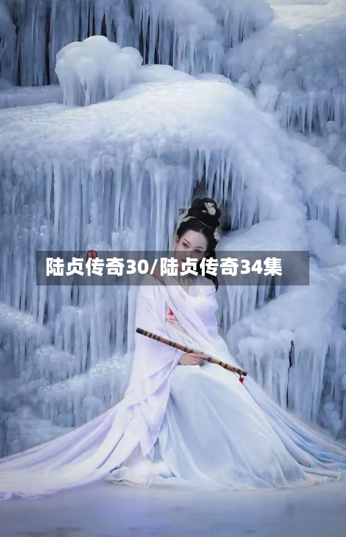 陆贞传奇30/陆贞传奇34集
