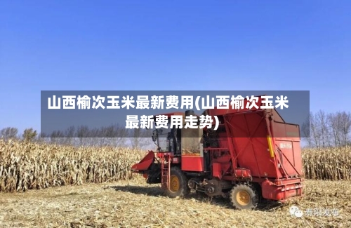 山西榆次玉米最新费用(山西榆次玉米最新费用走势)