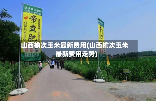 山西榆次玉米最新费用(山西榆次玉米最新费用走势)-第3张图片