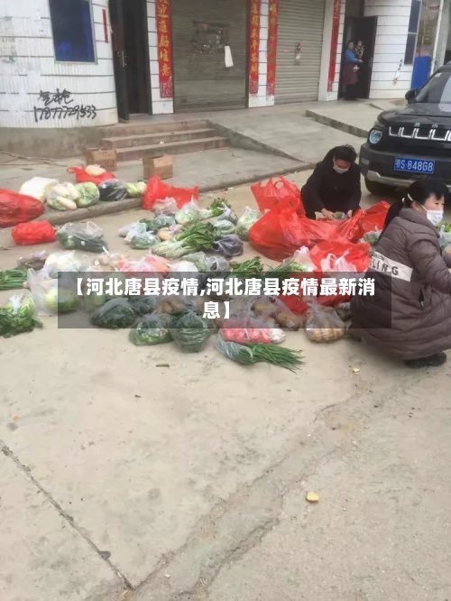 【河北唐县疫情,河北唐县疫情最新消息】