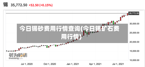 今日锡砂费用行情查询(今日锡矿石费用行情)