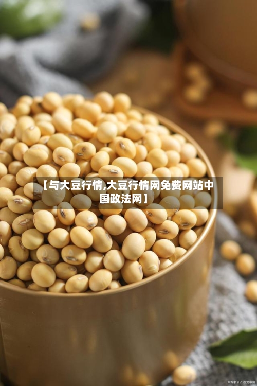 【与大豆行情,大豆行情网免费网站中国政法网】-第2张图片