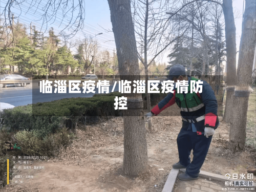 临淄区疫情/临淄区疫情防控