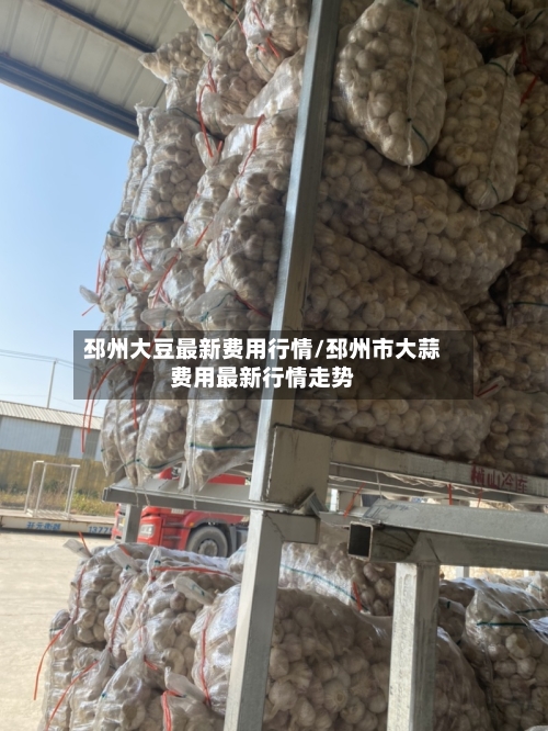 邳州大豆最新费用行情/邳州市大蒜费用最新行情走势-第3张图片