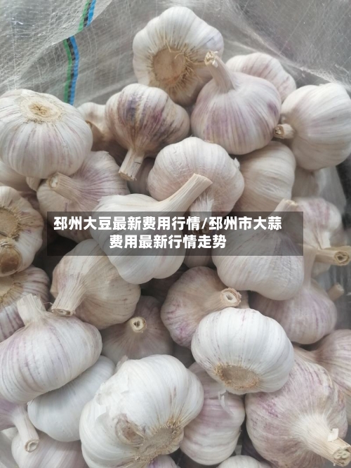 邳州大豆最新费用行情/邳州市大蒜费用最新行情走势-第1张图片