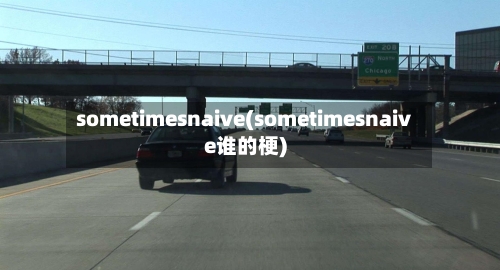 sometimesnaive(sometimesnaive谁的梗)