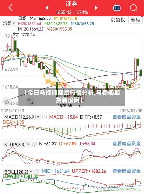 【今日马棕榈期货行情分析,马棕榈期货新浪网】