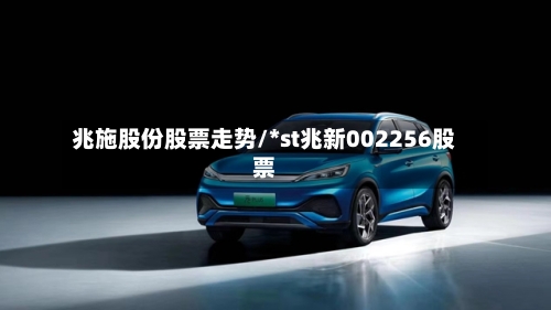 兆施股份股票走势/*st兆新002256股票