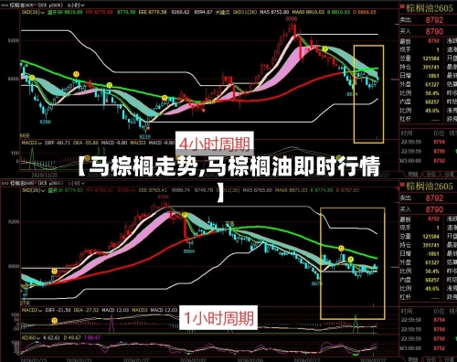 【马棕榈走势,马棕榈油即时行情】