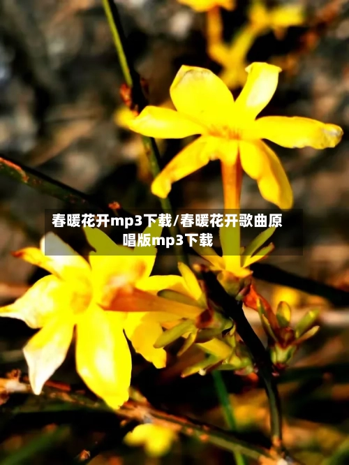 春暖花开mp3下载/春暖花开歌曲原唱版mp3下载