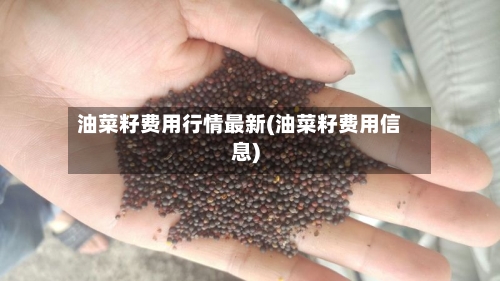油菜籽费用行情最新(油菜籽费用信息)